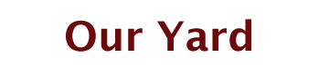 Our Yard